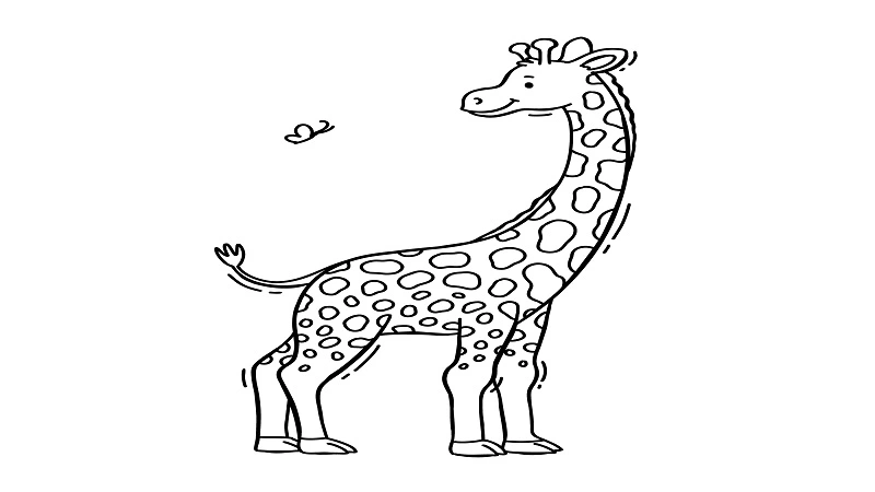 drawing:bkjikold4xi= giraffe